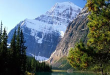 哪里有最体育直播免费看？这些渠道和注意事项要了解！